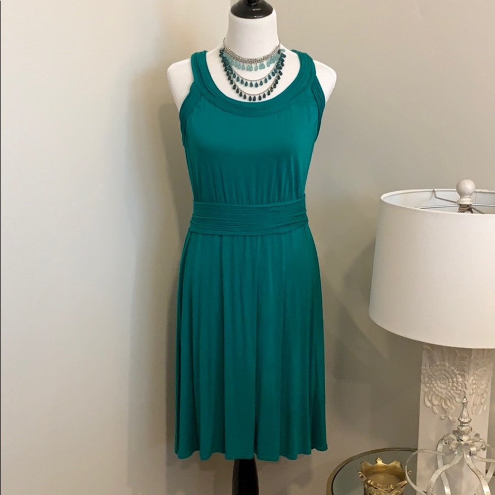 Fantastic Max Studio Dress